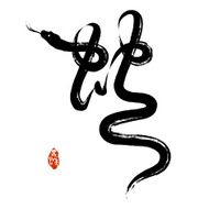 Chinese Penmanship Calligraphy Snake