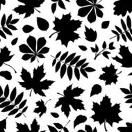 Seamless pattern with black silhouettes of autumn leaves on white
