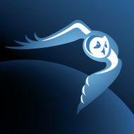 Flying owl N2