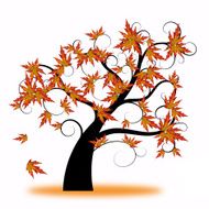 autumn on the tree
