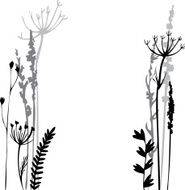 Silhouettes of flowers and grass N78