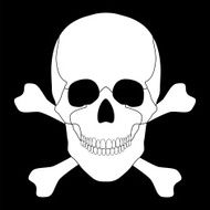 white skull and crossbones on a black background N2