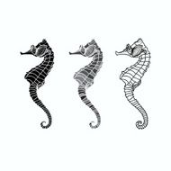 Vector set of seahorse on a white background