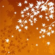 Autumn Background N145