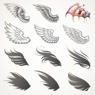 Vector set of wings N2