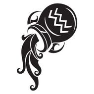 Aquarius Zodiac Sign N8