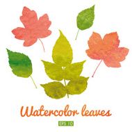 Watercolor set of autumn leaves