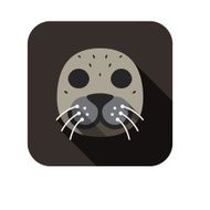Sea lion animal face flat design