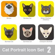 Cat breed face cartoon flat icon series N6