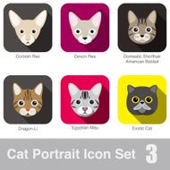 Cat breed face cartoon flat icon series N7