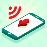 Voice mobile phone