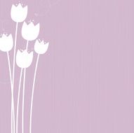 Tulips N29