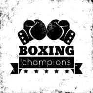 Boxing Logo N2