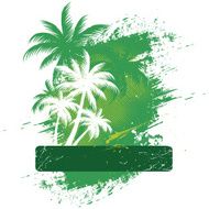Palm Trees N44