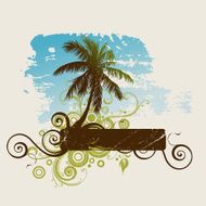 palm N6
