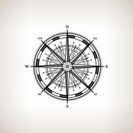 Silhouette compass rose on a light background N2