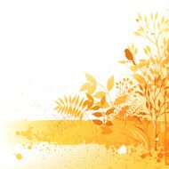 Autumn design N15