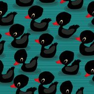 Black baby ducks