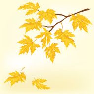 Autumn Maple Tree - Illustration
