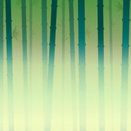 background bamboo N4