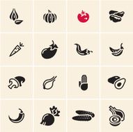 Vegetables icon set N5