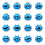 Blue Icons - Wild Animals