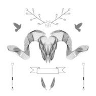 Abstract animal background line art Skull Antlers Vector Isolated N10