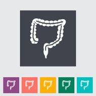 Intestines flat icon
