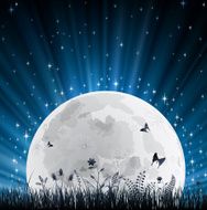 Night with Full Moon and Grass Horizon