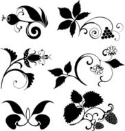 Berries set