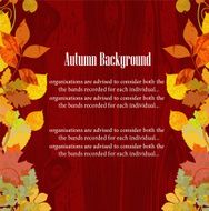 Autumn floral background N4