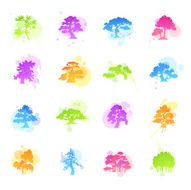 Stains Icons - Trees Species