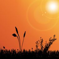 Vector silhouette of meadow N4
