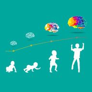 Child and Brain development N2