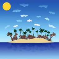 palm beach N11