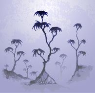 Trees in the mist