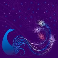 Abstract Peacock N6