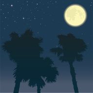 Moon N26