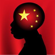 Young boy with chinese mind