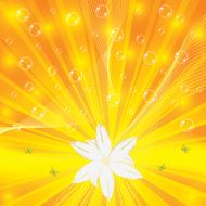 abstract floral background N231