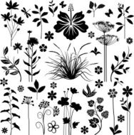 Collection of plants N4