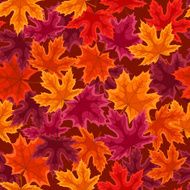 Seamless pattern with autumn maple leaves Vector illustration N7