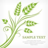 Stylized ears of wheat in green