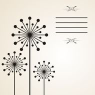dandelion background N5
