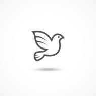 Dove icon