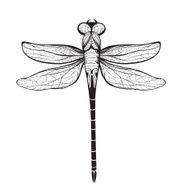 Dragonfly Insect Black Inky Drawing