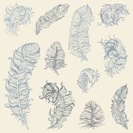 Feather set N21