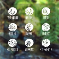 Silhouettes of twigs leaves plants berries on Blurred vector background