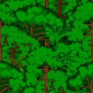 Vector seamless tropical rainforest Jungle background