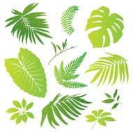 Tropical elements I